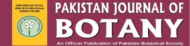 company logo here